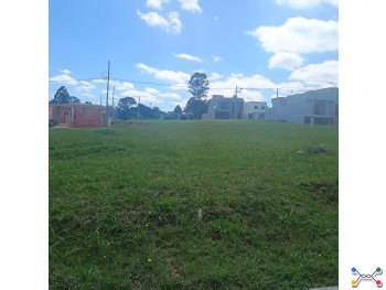 Terreno - Ponta Grossa / PR - Colônia Dona Luíza Rua Juvelino Alves dos Santos, 301