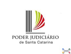 Lote 1