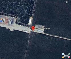 Lote 1