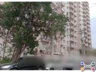 Apartamento - 26,94m² - São Paulo/SP