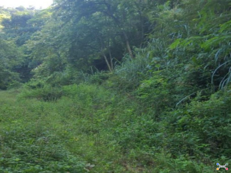 Lote, Residencial, Jacarepaguá - Rio de Janeiro/RJ