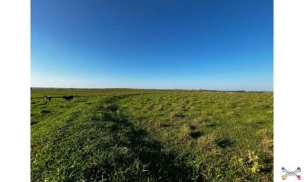Imóvel Rural em Leilão em Lucélia / SP - 2627928