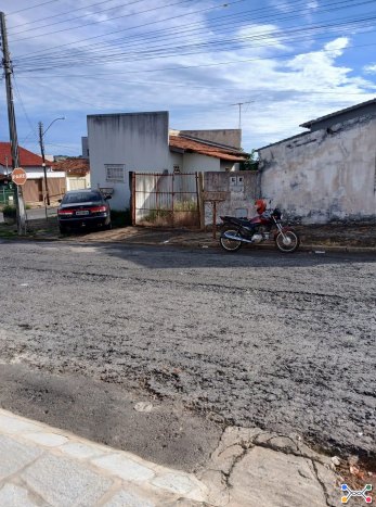 Lote 2