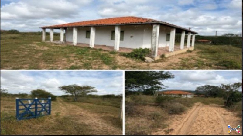 Fazenda pitombeira (atualmente fazenda venturosa), na zona rural do municipio de santa brigida/ba. o imóvel representa uma faixa de 400 tarefas ou 133 hectares.