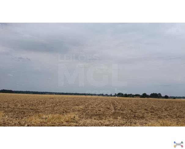 Cerejeiras/ro - terreno urbano com 3.600,00 m² no setor industrial 07 lote em leilão | mgl leilões