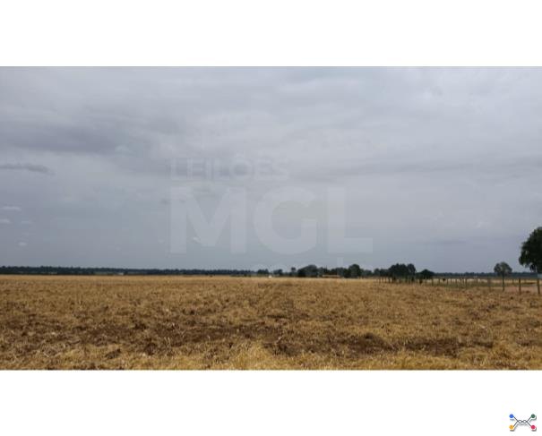 Cerejeiras/ro - terreno urbano com 4.500,00 m² no setor industrial 07 lote em leilão | mgl leilões