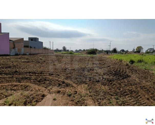 Cerejeiras/ro - terreno urbano com 330,00 m² no setor industrial 06 lote em leilão | mgl leilões