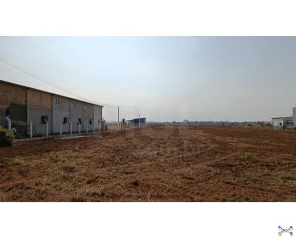Cerejeiras/ro - terreno urbano com 3.125,00 m² no parque industrial cerejeiras lote em leilão | mgl leilões