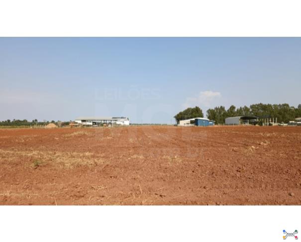 Cerejeiras/ro - terreno urbano com 6.250,00 m² no setor industrial 07 lote em leilão | mgl leilões