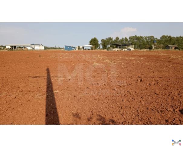 Cerejeiras/ro - terreno urbano com 6.250,00 m² no setor industrial 07 lote em leilão | mgl leilões