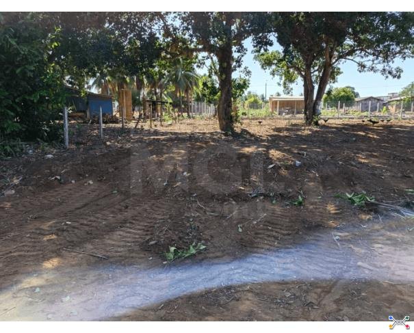 Cerejeiras/ro - terreno urbano com 450,00 m² no bairro jardim são paulo, setor c lote em leilão | mgl leilões