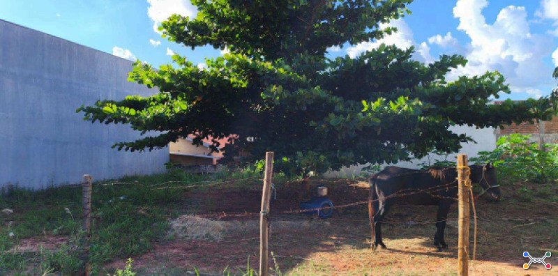 Lote urbano; area de 245 m132
