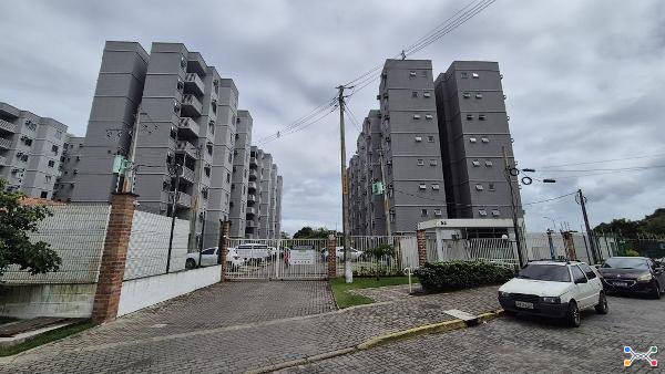 Aurora do pq