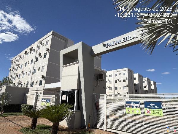 Cond palmeira real