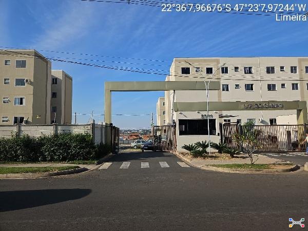 Res luz do campo