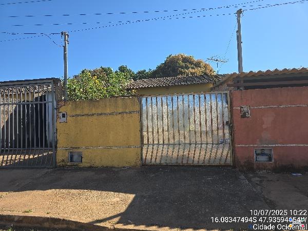 Cond albatroz v