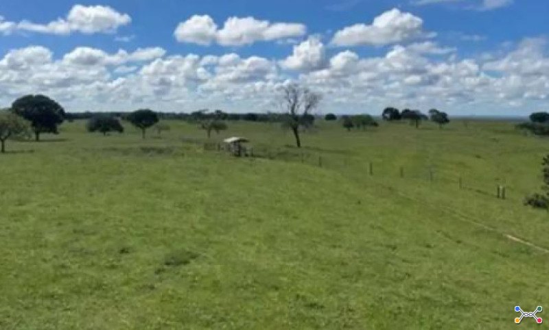 43,41 hectares em são gonçalo do abaeté/mg