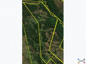 matrícula nº 48.650 (4,79ha - R.9-48.650) do Cartório de