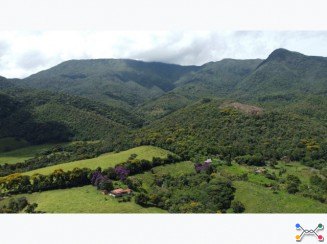 Imóvel Rural em Olaria