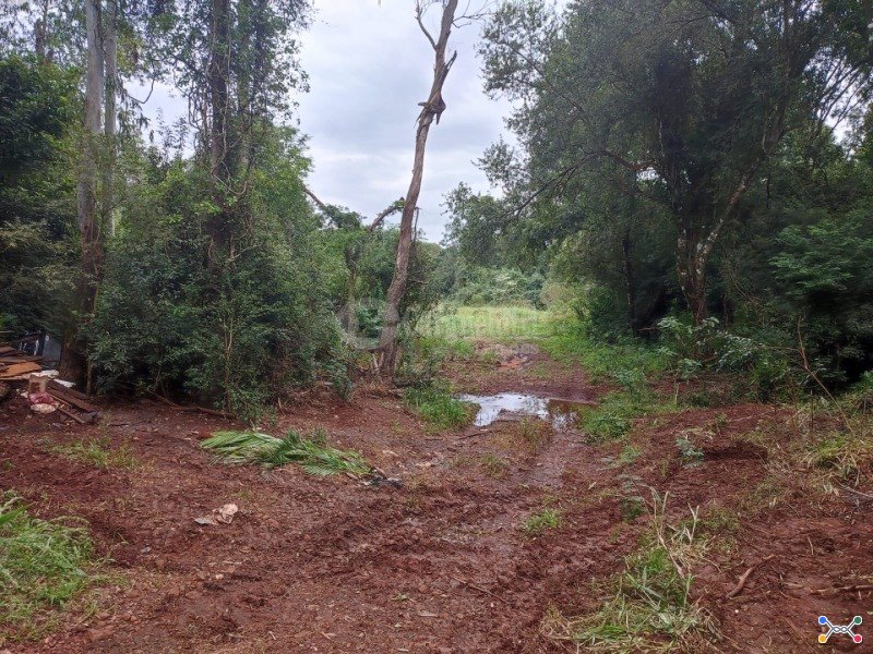 Cargnelutti Leilões | CERRO LARGO/RS - Lote 002 (ID 44231)