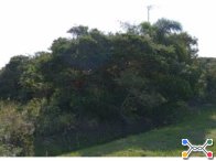 Terreno c/ 250m² - Ilha Comprida/SP