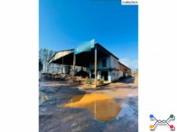 Galpões 1.410m²- Terreno 2,50ha–Av. Senador Pinheiro Machado