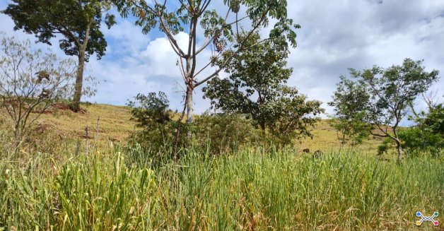 FRAÇÃO IDEAL DE 33,33% de Imóvel rural, 121.000 m², Estrada São Joaquim, São José das Palmeiras/PR