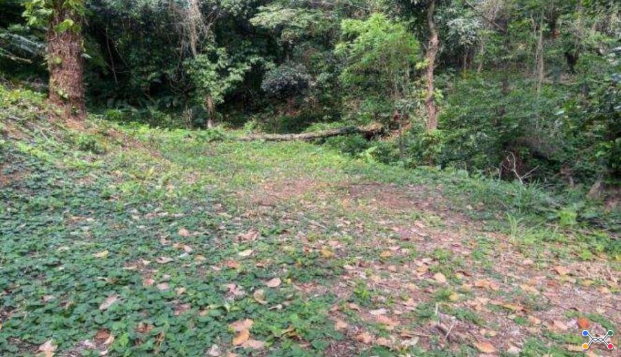 Rio de Janeiro/RJ - Itanhanga - Terreno com 994m²