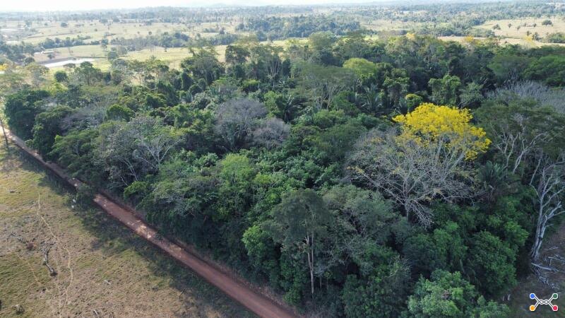 IMÓVEL RURAL COM 53,3362ha EM OURO PRETO DO OESTE/RO