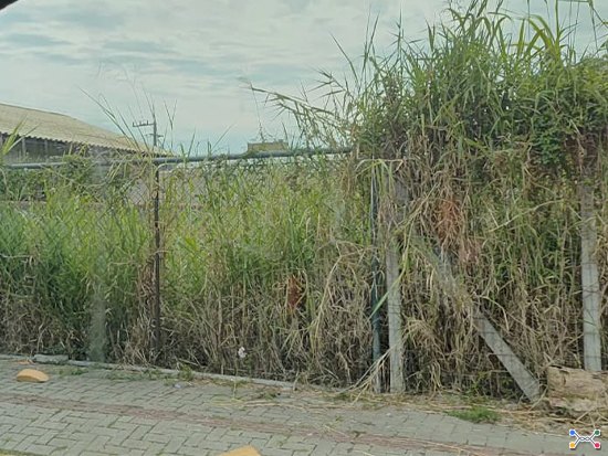 Terreno - Igrejinha - RS