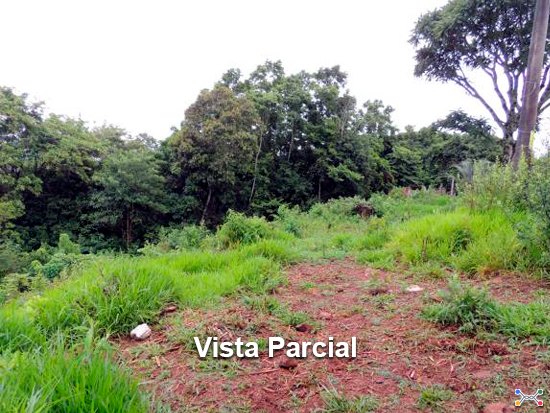Terreno - Parobé - RS