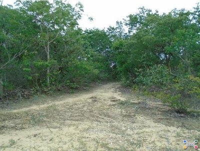 Fazenda 60,77ha em Cristália/MG | Desocupada | Fazenda Santa Cruz Rocinha |