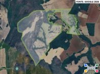 Imóvel Fazendas, sítios e chácaras - Fazenda c/ 226,7945 ha - Vianópolis/GO - Vianópolis/GO