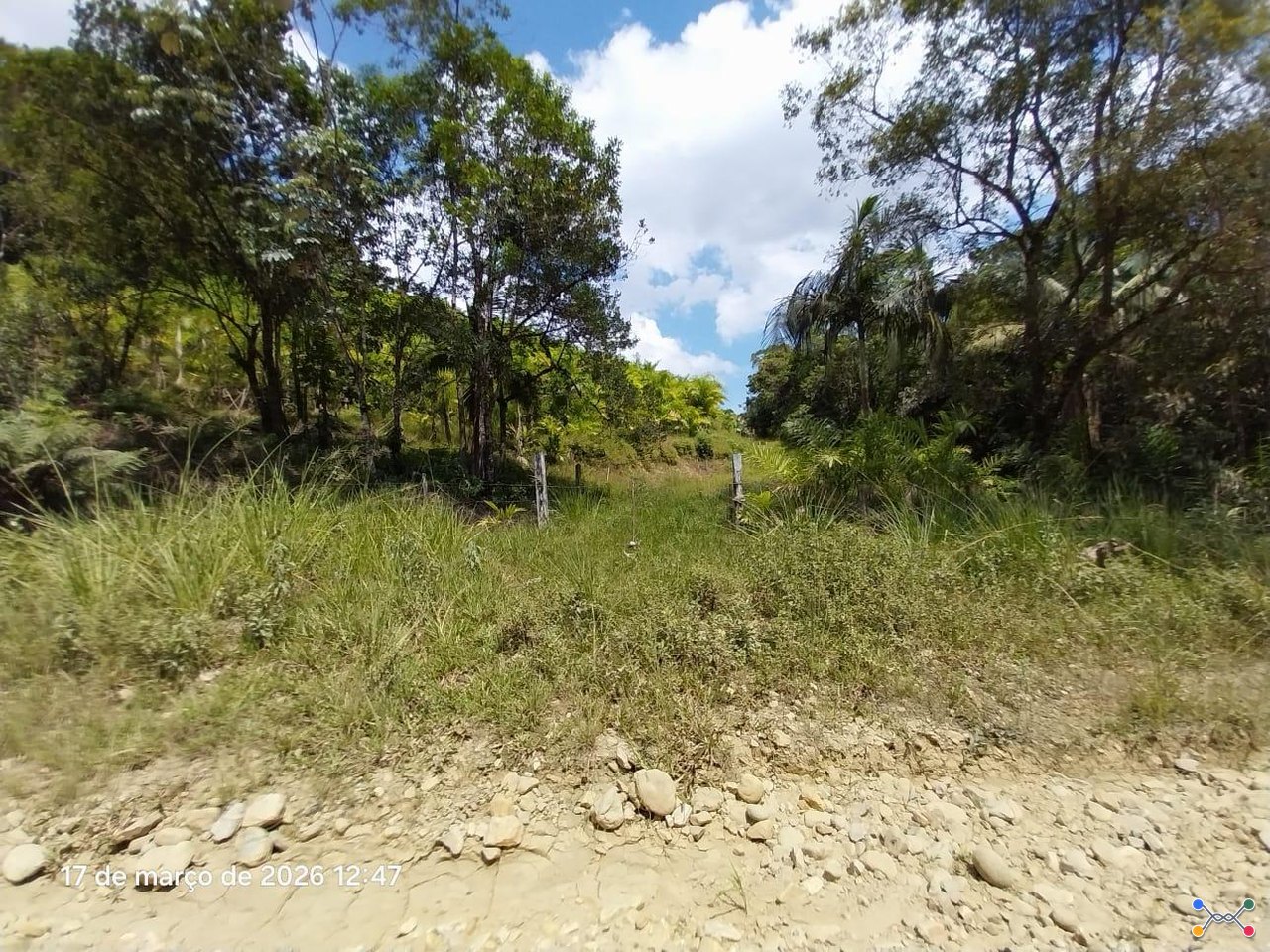 Direitos possessórios de uma área de terras, medindo 8 alqueires e 8.326,446m², Guaraqueçaba/PR