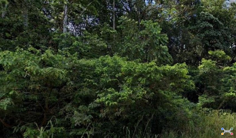Imóvel rural (Lote 50, Gleba 18, 208,1606 ha), Porto Velho/RO