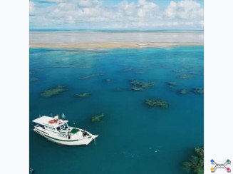 Terreno A.T. 22 ha - Abrolhos, Caravelas/BA