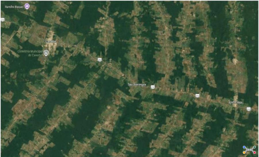 1 Imóvel Rural | Área de 67.8601 ha | Fazenda Sítio Bom Futuro | BR-210, Vicinal 12 | Caroebe/RR