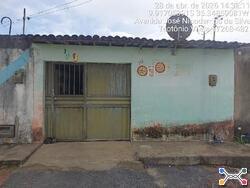 Lote 5