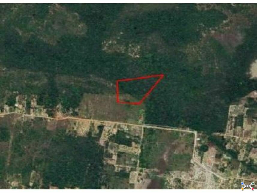 Área rural à venda em leilão
