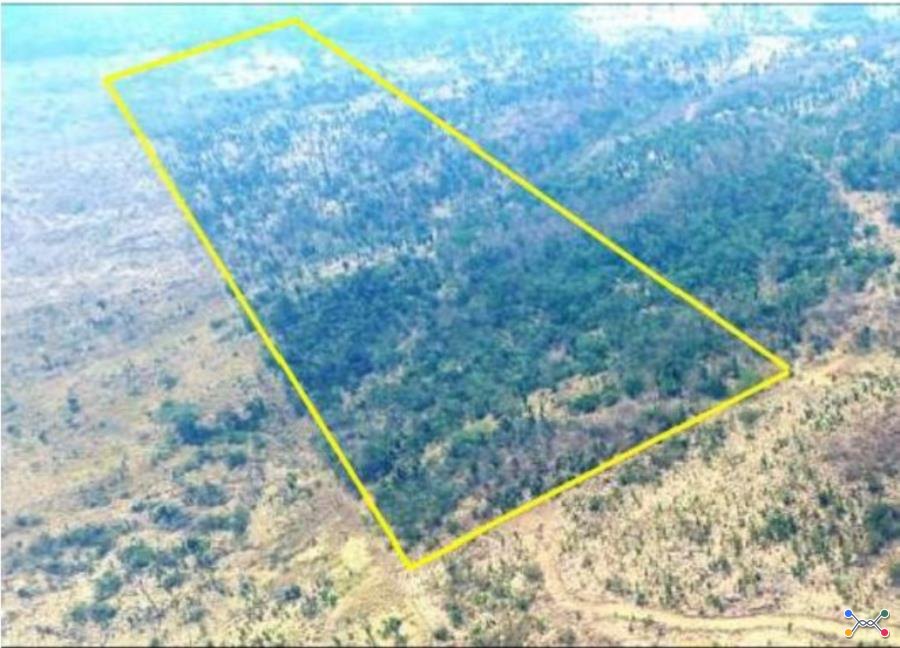 Leilão extrajudicial sicoob - 1 terreno | área de 24,20 ha | lote 14b | gleba 25 | cacaulândia/ro