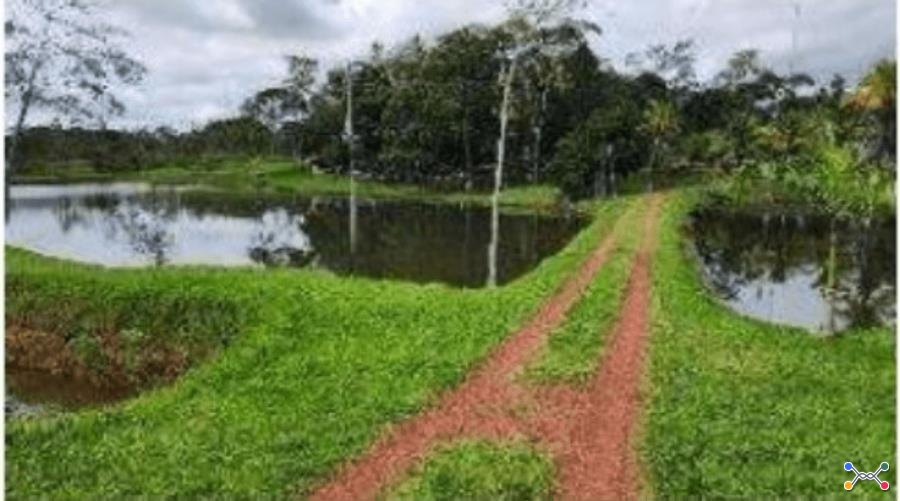Leilão extrajudicial sicoob - 1 terreno | área de 4,84ha | rolim de moura/ro