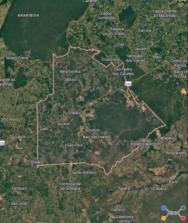 IMÓVEL RURAL | ÁREA DE APROX. 507 HECTARES | GRAJAÚ/MA - Possibilidade de Parcelamento