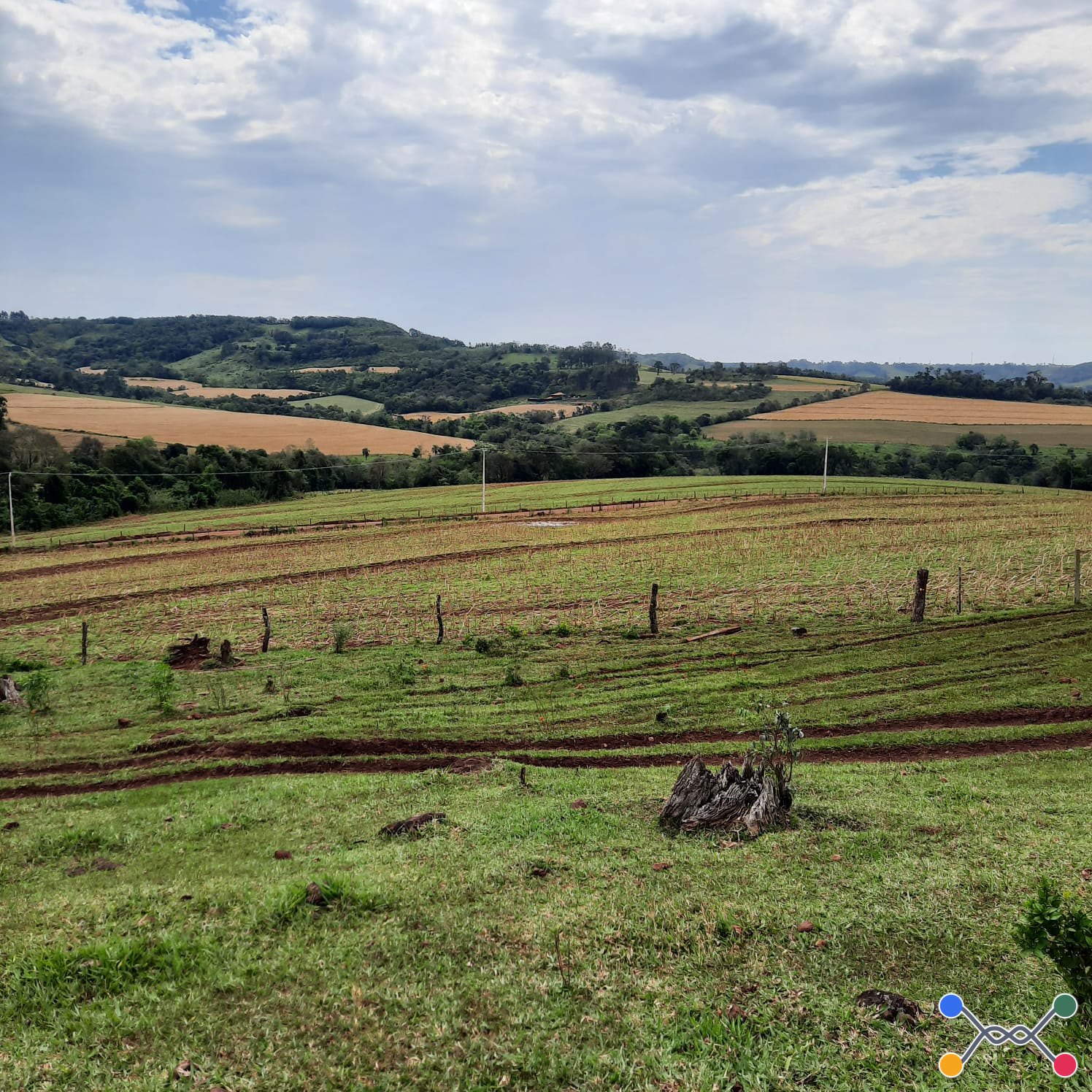 FAZENDA COM 74 HECTARES EM LINDOESTE - PR (DUPLA APTIDÃO) BOA DE AGUA E ESTRUTURA, COMO, CASA E MANGUEIRAS, CERCA ELETRICA - JAC Leilões | Site do leiloeiro oficial de Cascavel/PR - Jefferson Adriano Costa