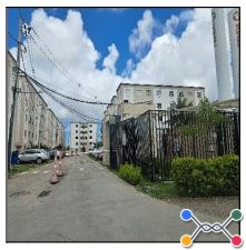 Jardim dos lirios i
