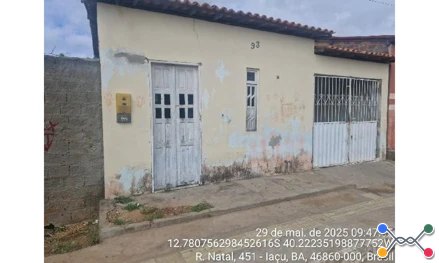Iacu - boiadeira