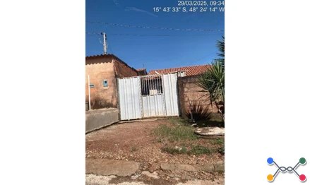 Cocalzinho de goias - girassol