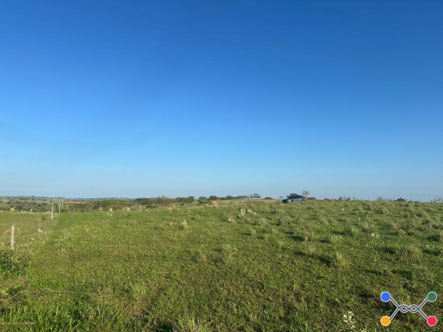 Imóvel rural em martinópolis ( sp)