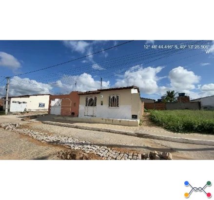 Iacu - boiadeira