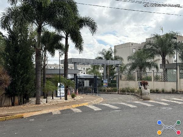Vitta recanto das palmeiras