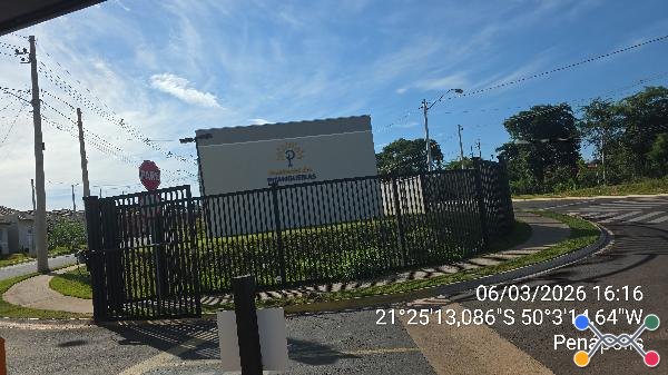 Res pitangueiras 1
